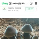 바이오진담
