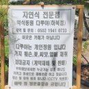 다루 | 양산 건강한 자연식 한가득, &#39;약식동원 다루야&#39; 방문 후기