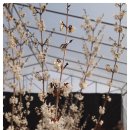 여난농장 이미지