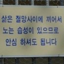 주스토리 이미지