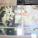 코끼리부동산중개사무소 이미지