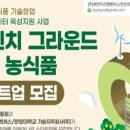 다빈치벤처스