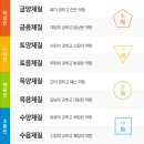 2. 팔체질(금음체질) 이미지