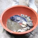 정희수산 이미지