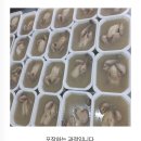 수제삼계탕 이미지