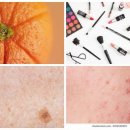 세정의원 | 피부 촉촉 비법! 오일, 세정, 선크림 똑똑하게 쓰는 꿀팁 대방출!