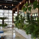 어라운드펫스쿨 이미지