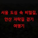 안산자락길 숲속카페 | 서울 도심 속 비밀길, 안산 자락길 걷기 여행기