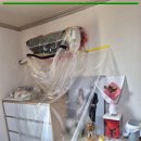 크린스타 이미지