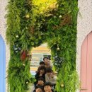 신순철 복싱클럽(보라점) 이미지