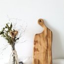 피엘테크노 | 아르벨 캄포도마