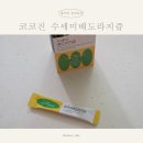 코코진 - 유성구 은구비남로33번길 13-8 | 환절기 감기예방 필수템! 코코진수세미배도라지즙으로 배즙효능