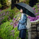 충주 솔약국 이미지