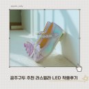 공주신발 추천 라스텔라 LED구두 나비엘 착용후기