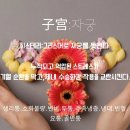 뉴메디얼바디 - 33036 | 뉴메디얼바디