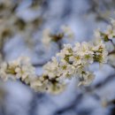 굿모닝PC 이미지