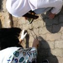 백선바오로의집 이미지