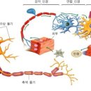 약수소생한의원 네이버블로그