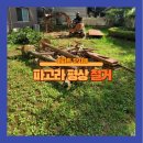교하동사무소 | 아파트 단지내 파고라 평상 철거