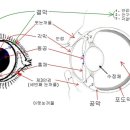하나동물병원 이미지