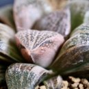 호반농장 이미지