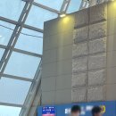 1929 | 터키항공 TK002편, TK1929편 탑승후기 🇹🇷 ✈️