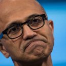 나는 댕댕 이미지