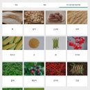 성보골드 이미지