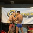 팀 매드 이미지