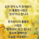 다나은세상 이미지