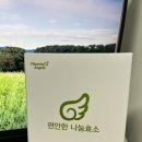 효소 추천 비타민 엔젤스 편안한 나눔효소