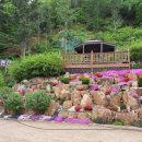 새솔펜션 이미지