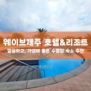 제주하와이호텔 | [내돈내산] 웨이브제주 호텔&amp;리조트 후기 (ft, 조식포함 10만원대 가성비)