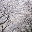 노량 해안도로길 이미지