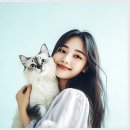 블리독인천부평점강아지분양 말티푸 미니비숑프리제 포메입양 | 부평프렌치불독분양 건강하고 귀여운 강아지 만나고 왔어요 블리독 인천부평점 방문기