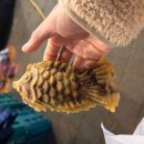 서울서초초등학교 | [강남/서초] 추운 날 더 생각나는 붕어빵 강남역 '서울붕어베이커리' 위치, 후기