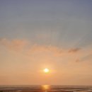 백암농원 | 200816 신안 천사대교, 고창 청보리밭, / 여름휴가 #5 마무리