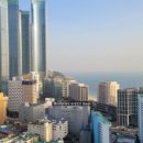 엘시티아세아부동산중개법인 이미지