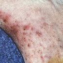 위너스 동물병원 이미지