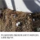 목도주민센터 앞 이미지