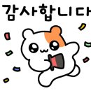 팰리스브라이드 이미지