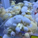 오늘의 TMI 전송합니젶 📬 이미지