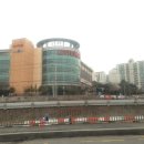 와카모터스 네이버블로그
