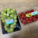 따봉청과 이미지