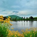 엘리시안 호텔 이미지