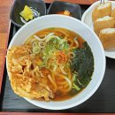 서귀포동경우동 - 서귀포시 중앙로89번길 4 | 서귀포동경우동