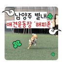 해피존 | 서울근교 남양주 별내 '해피존' 3,000평 규모 애견운동장 방문 후기 (내돈내산)