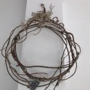 곰배스테이 이미지