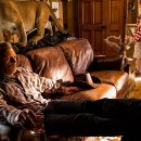 외딴농장 이미지