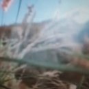 우산쓴고양이 네이버블로그